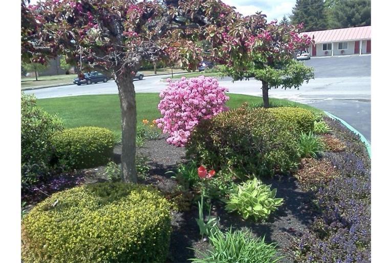 Belmont Motel Skowhegan Exteriér fotografie